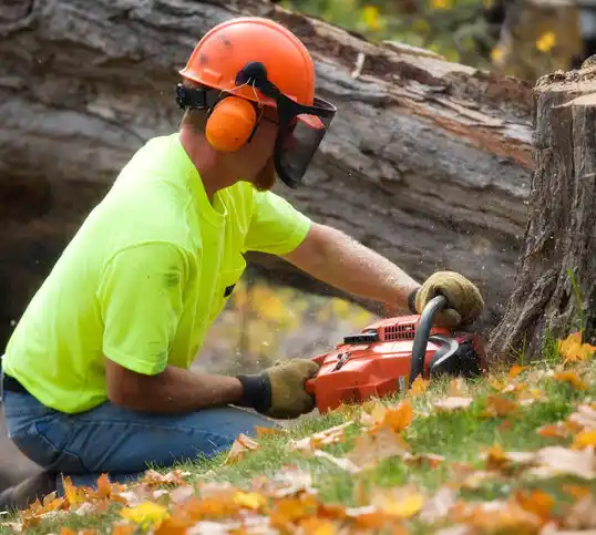 tree services Lino Lakes